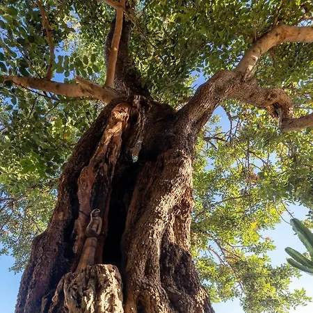 Rimondi Residences Chania Chania (Crete)