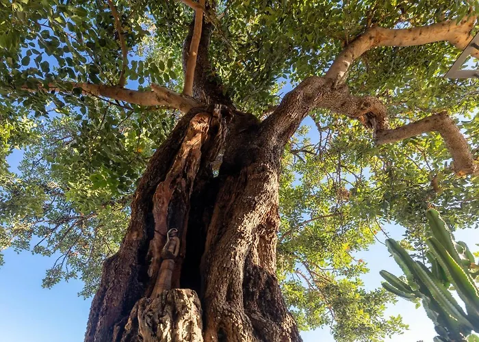 Rimondi Residences Chania Hriszí Aktí Haniá